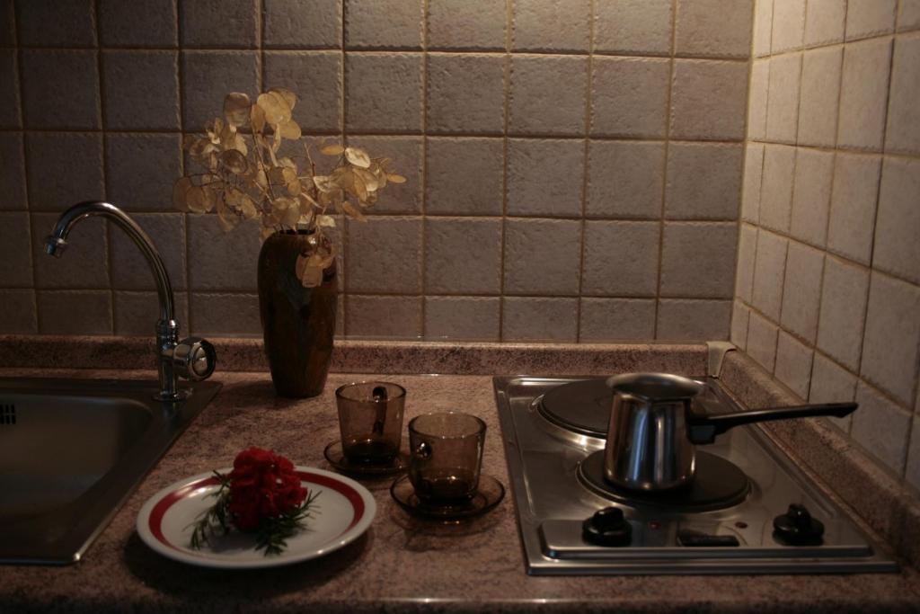 Villa Kamenica 코미자 외부 사진